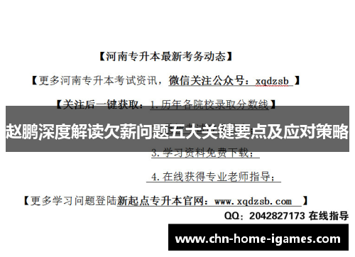 赵鹏深度解读欠薪问题五大关键要点及应对策略