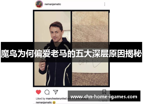 魔鸟为何偏爱老马的五大深层原因揭秘 魔鸟为何偏爱老马的五大深层原因揭秘