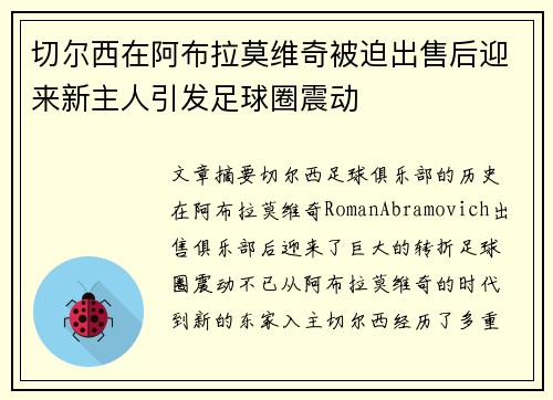 切尔西在阿布拉莫维奇被迫出售后迎来新主人引发足球圈震动